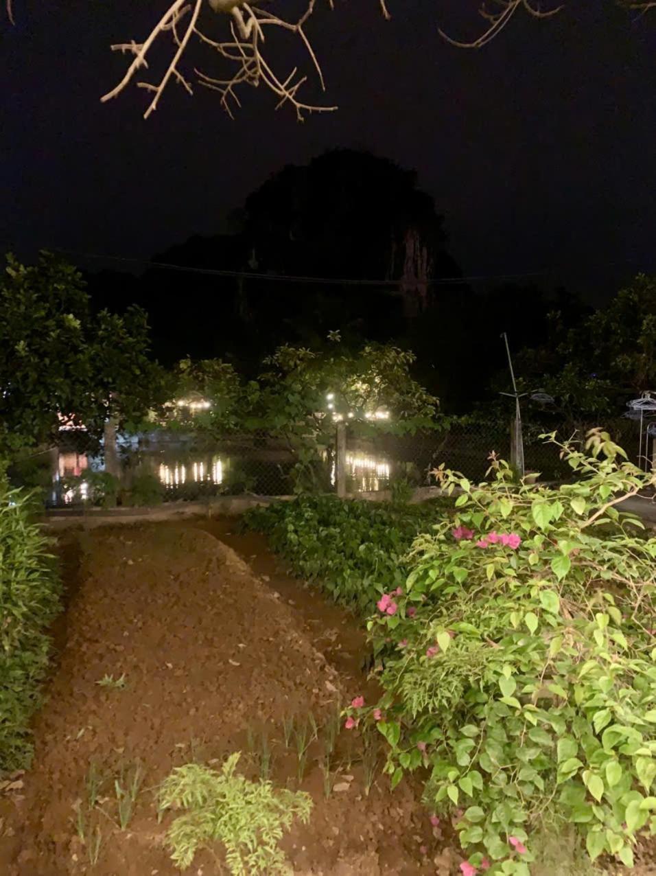 Blue Garden Homestay Ninh Binh Eksteriør billede