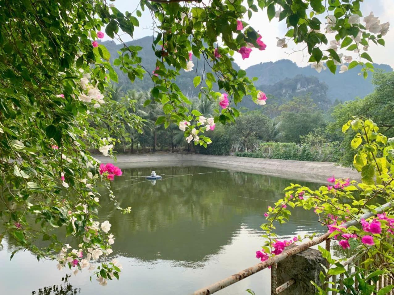 Blue Garden Homestay Ninh Binh Eksteriør billede