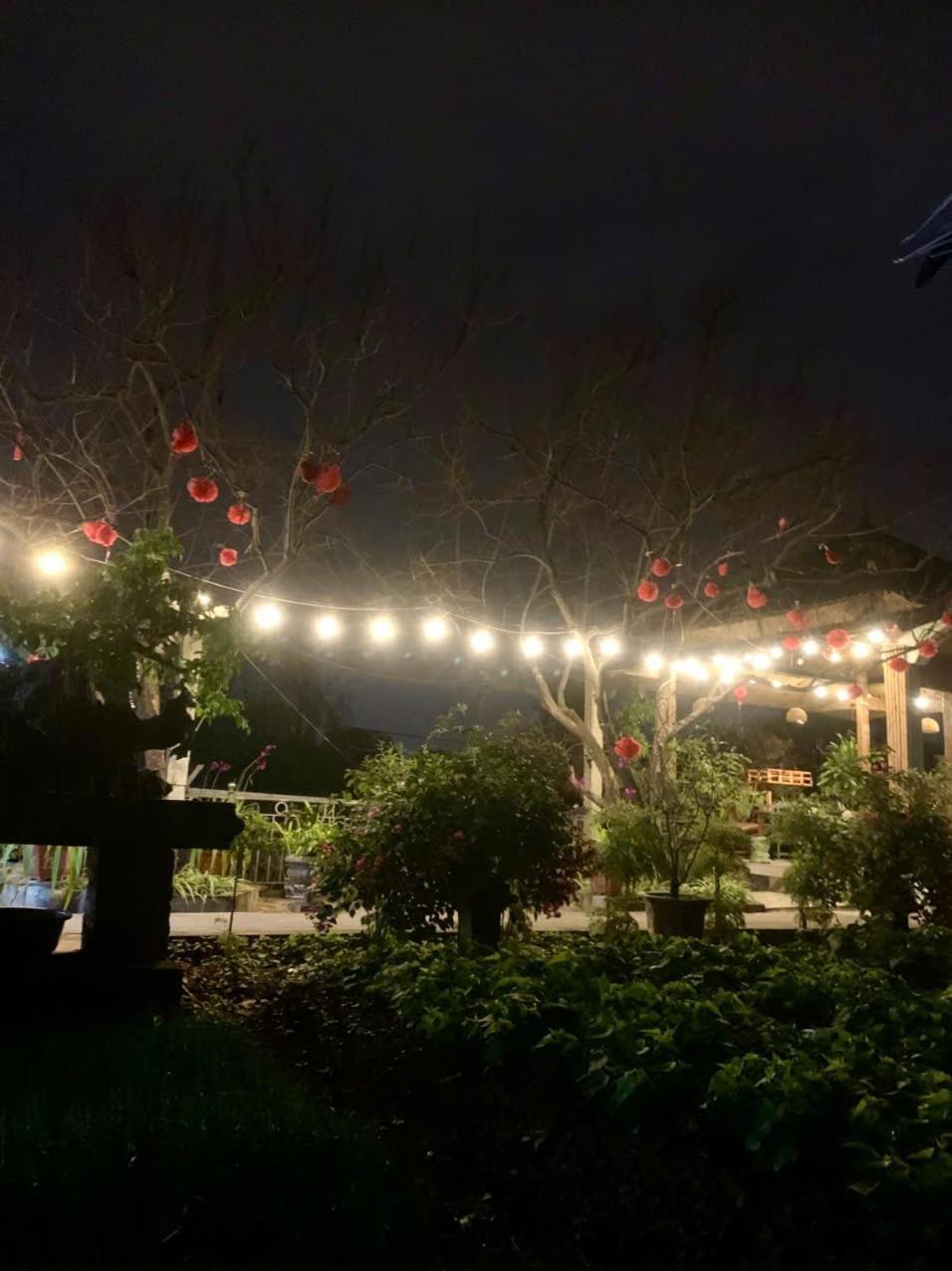 Blue Garden Homestay Ninh Binh Eksteriør billede