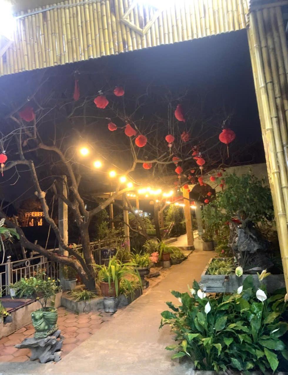 Blue Garden Homestay Ninh Binh Eksteriør billede