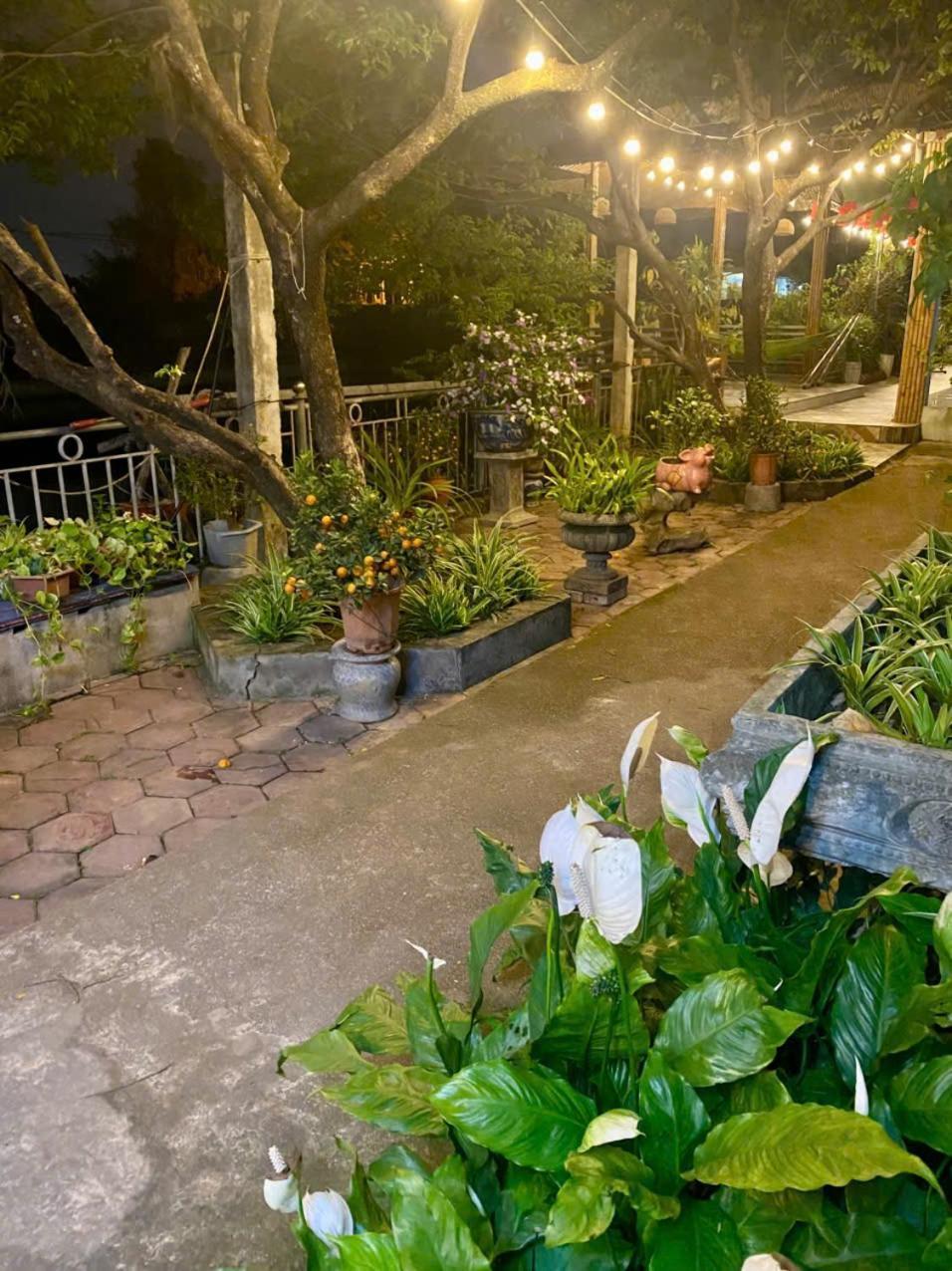 Blue Garden Homestay Ninh Binh Eksteriør billede
