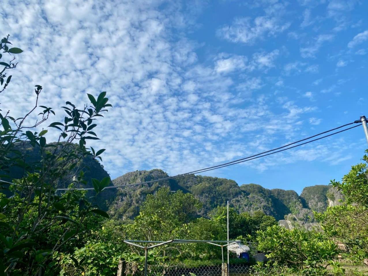 Blue Garden Homestay Ninh Binh Eksteriør billede