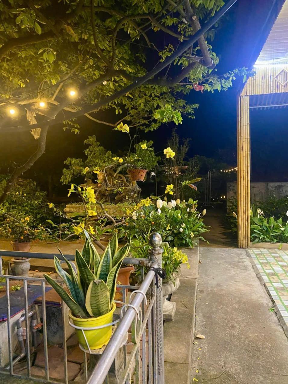 Blue Garden Homestay Ninh Binh Eksteriør billede