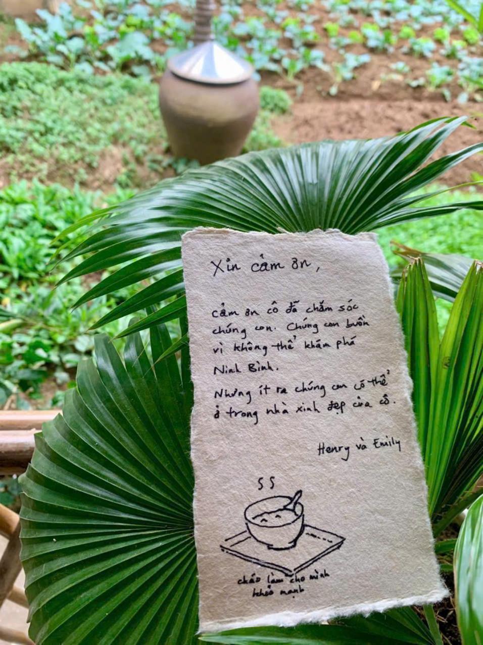 Blue Garden Homestay Ninh Binh Eksteriør billede