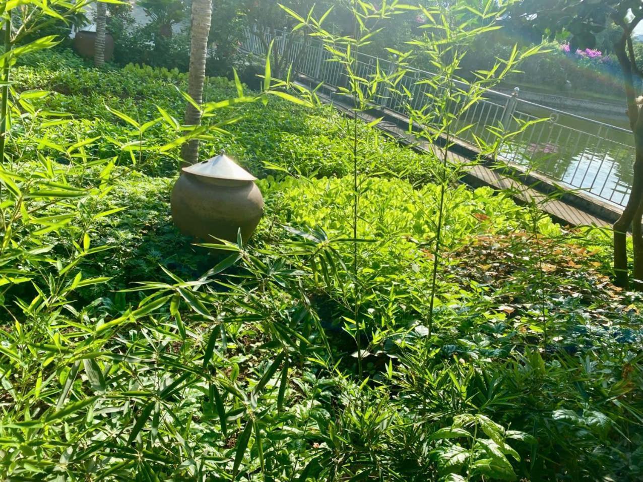 Blue Garden Homestay Ninh Binh Eksteriør billede